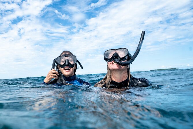 Julian Rocks: Premier Snorkeling Tour Byron Bay - Practical details that can make the day easier