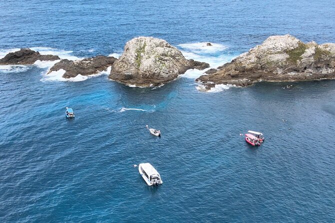 Julian Rocks: Premier Snorkeling Tour Byron Bay - Cancellation and weather flexibility
