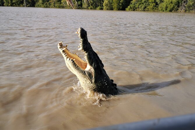 Jumping Croc Cruise, Berry Springs, Fogg Dam & Humpty Doo Pub - Guides, group size, and the human side of the day