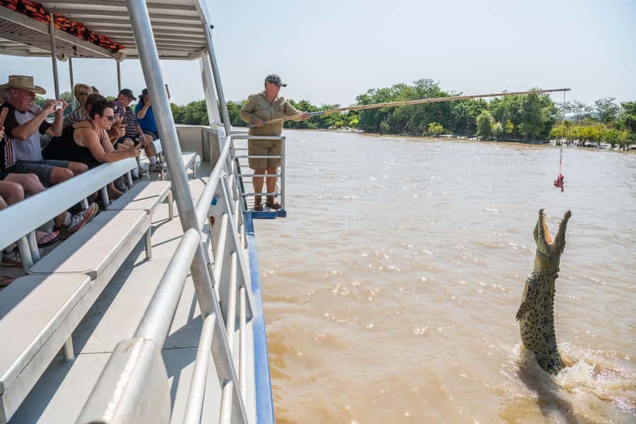 Jumping Crocodile Cruise from Darwin Half-Day Scenic Trip - My call: book it for the crocodiles, not the road time