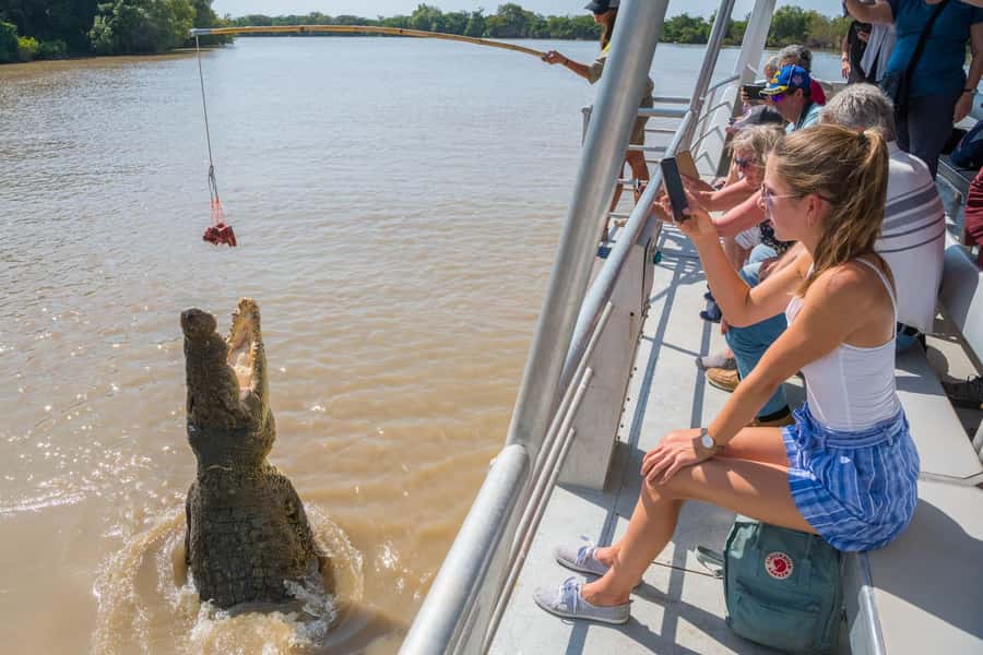 Jumping Crocodile Cruise from Darwin Half-Day Scenic Trip - A short Adelaide River visit before the main cruise