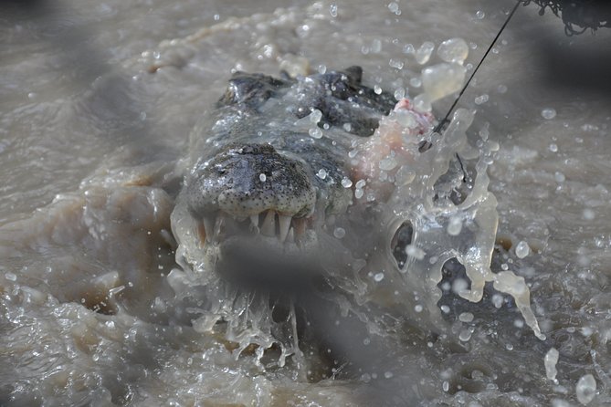 Jumping Crocodile Cruise with lunch - A half-day schedule with three very different stops