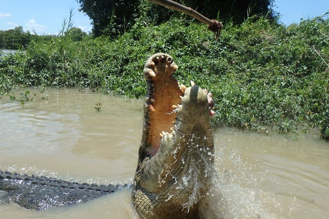 Jumping Crocodile Cruise with lunch - What can go wrong, and how to judge the risk