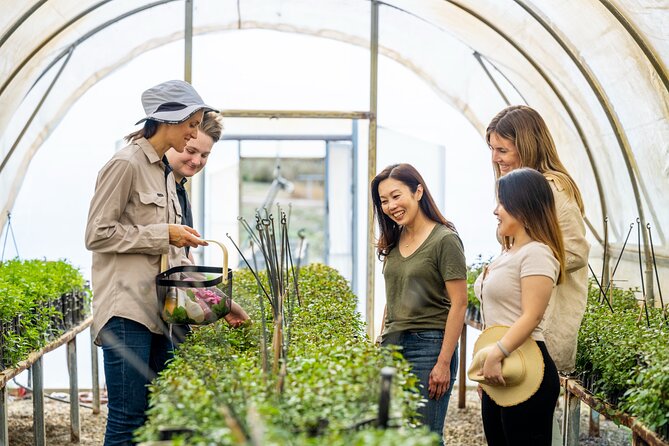 Jurlique Farm Tour - Learning Jurlique’s story through plants