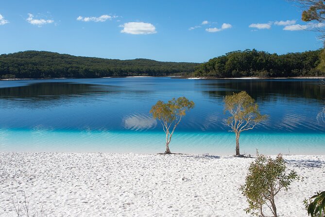 K'gari (Fraser Island) All Inclusive Day Tour - Why this one-day K’gari trip works