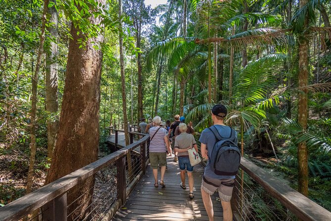 K'gari (Fraser Island) All Inclusive Day Tour - Central Station and Wanggoolba Creek