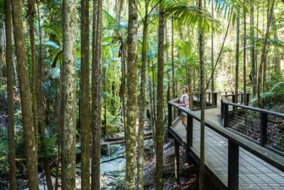 K’gari (Fraser Island) All Inclusive Day Tour