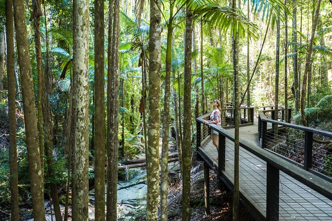 K'gari (Fraser Island) All Inclusive Day Tour - Ferry crossing and the first run on sand
