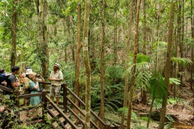 K’gari (Fraser Island) Explorer 2-Day Tour