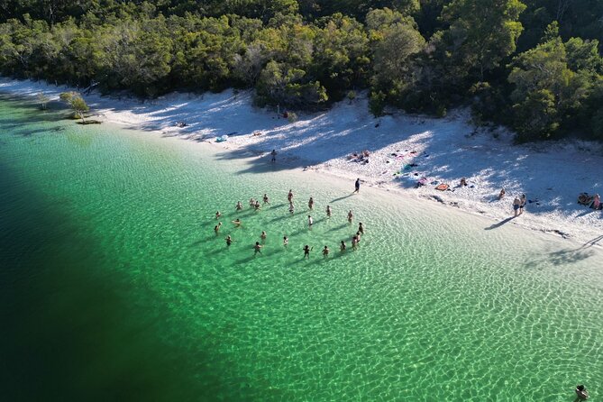 K'gari (Fraser Island) Small Group Day Tour - From Rainbow Beach - Eli Creek: bring your own float