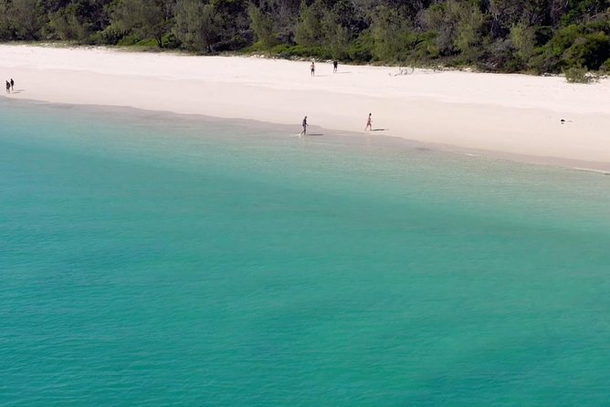 K'gari (Fraser Island) West Coast Half Day Cruise from Hervey Bay - Why the $140 price can make sense