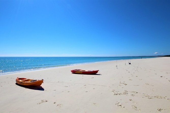 K'gari (Fraser Island) West Coast Half Day Cruise from Hervey Bay - A well-run boat operation