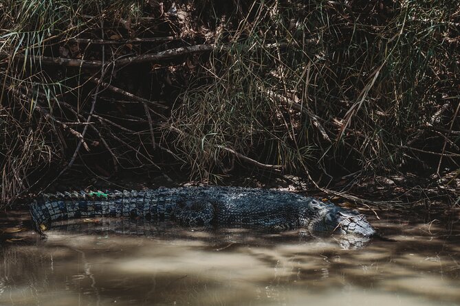Kakadu Day Tour from Darwin with Offroad Dreaming - The wet-season alternative at Nourlangie