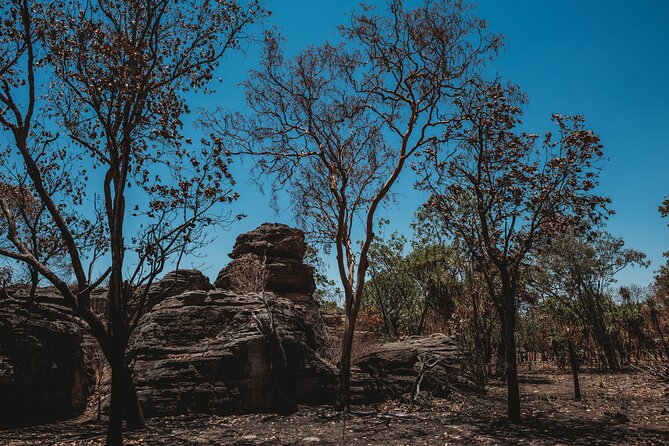 Kakadu Day Tour from Darwin with Offroad Dreaming - Is $243.86 good value?