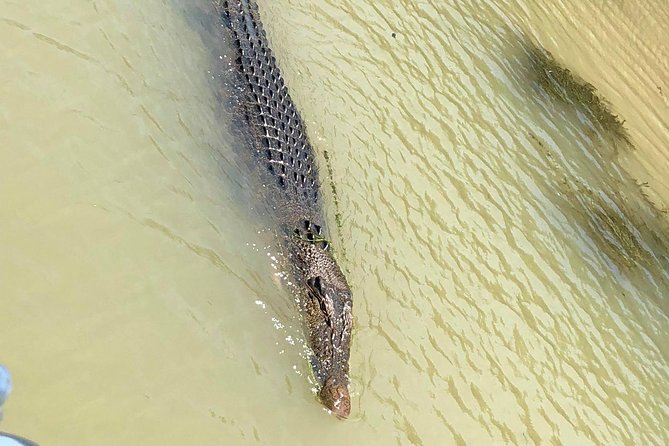 Kakadu National Park Scenic Flight &Yellow Water Cruise - Wetlands, rivers, escarpments, and seasonal waterfalls
