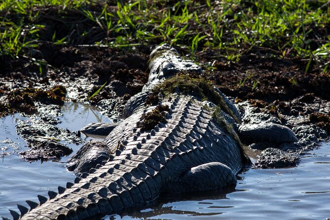 Kakadu National Park Wildlife & Ubirr Rock Art Tour from Darwin - Key points to know before booking