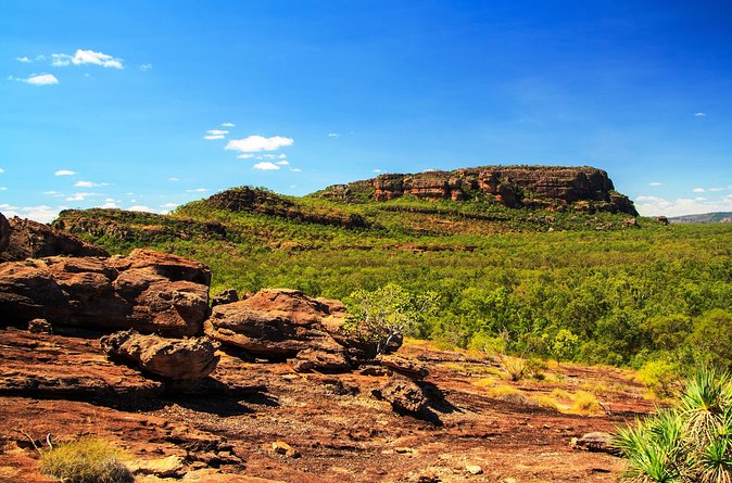 Kakadu, Nourlangie and Yellow Waters Tour from Darwin - What the A$268.97 price really covers