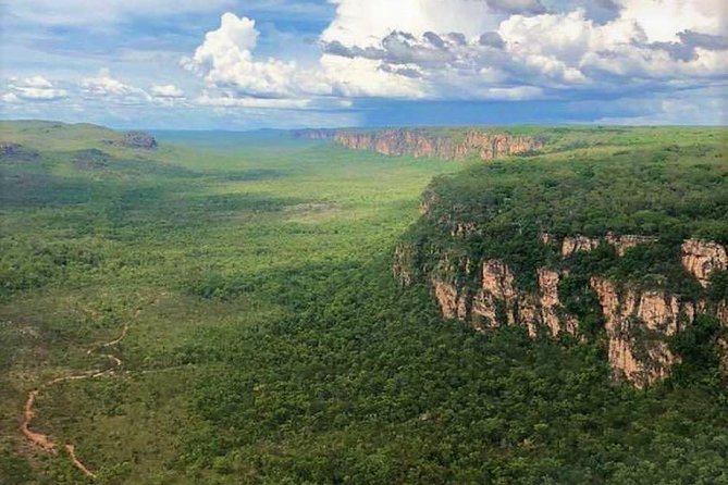 Kakadu Yellow Waters Cruise & Katherine Gorge Helicopter Scenic - Should you book this Top End air-and-water day?
