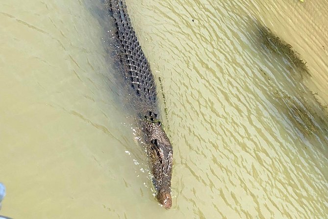 Kakadu Yellow Waters Cruise & Katherine Gorge Helicopter Scenic - Flying across Kakadu National Park