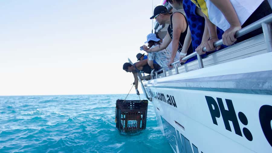 Kalbarri Crayfish Catch & Keep Tour - Sharing the catch back at the marina