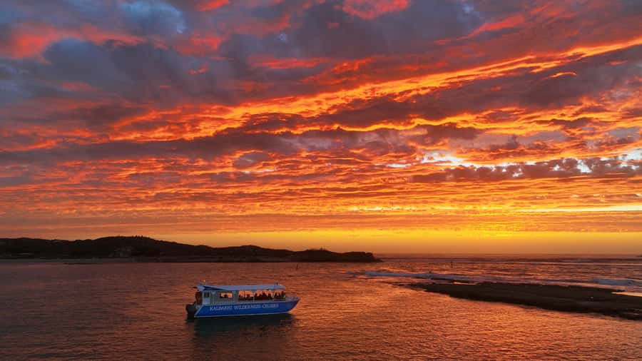 Kalbarri: Murchison River Wilderness Wildlife Cruise - The first six kilometres, with stories along the way