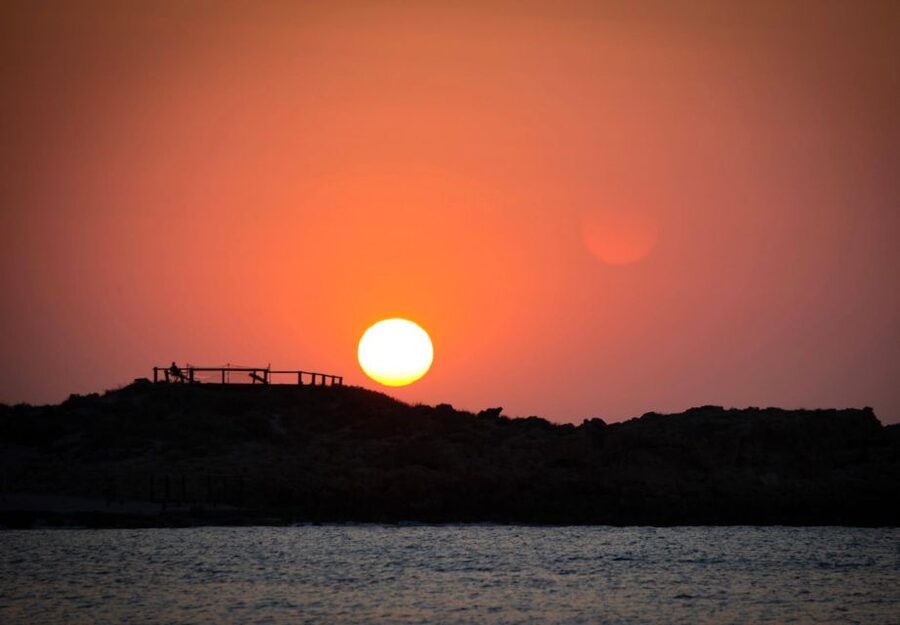 Kalbarri: Murchison River Wilderness Wildlife Cruise - Birdlife and animal sightings on the riverbanks