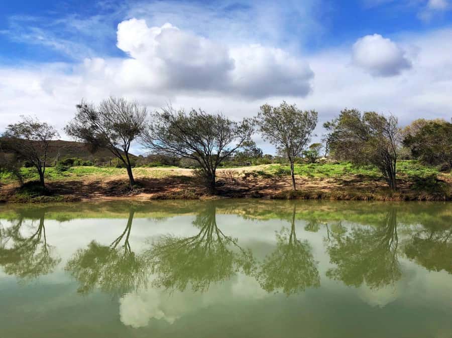 Kalbarri: Murchison River Wilderness Wildlife Cruise - Timing changes with the tide and season