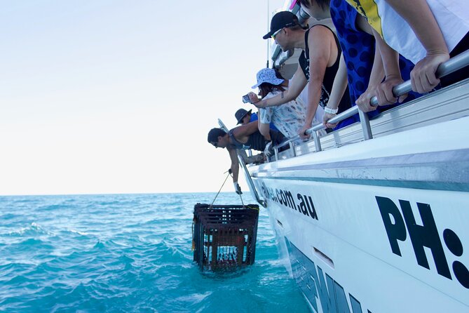 Kalbarri Rock lobster Pot Pull Tour in Kalbarri - Key points before you book