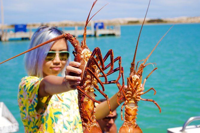 Kalbarri Sunset Cruise along the Coastal Cliffs - Jakes Point, surf, and a chance of dolphins