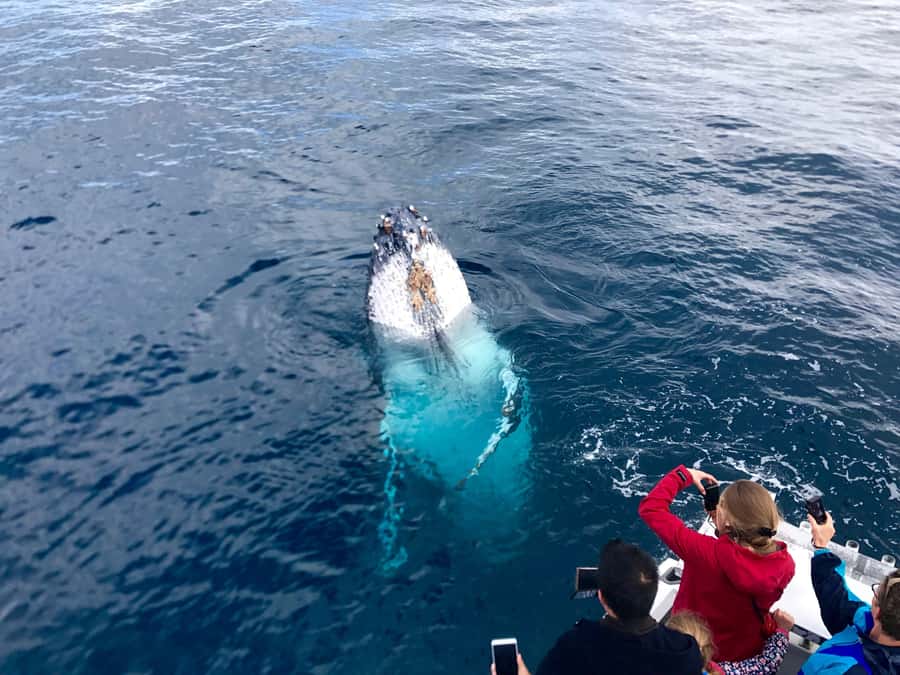 Kalbarri Whale Watching Tour - Boarding at Kalbarri Maritime Facility