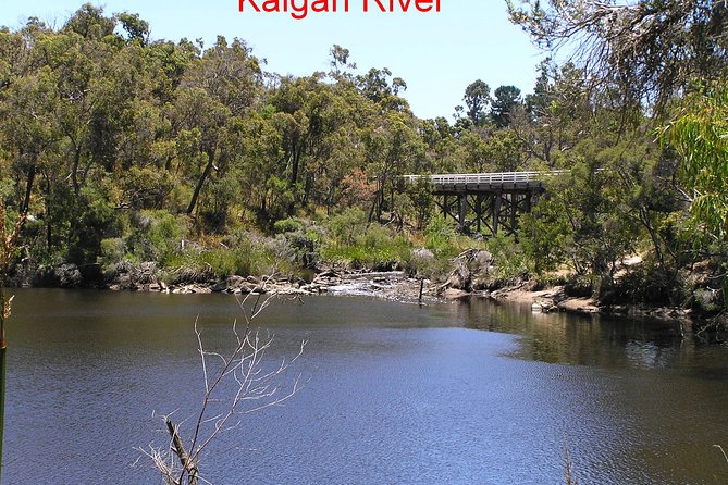 Kalgan Queen Scenic Cruises a four hour sheltered water wildlife tour daily fun. - Is four hours too long?