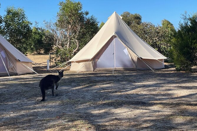 Kangaroo Island 2-Day Wildlife Adventure Small Group tour - Kingscote gives you a short town break