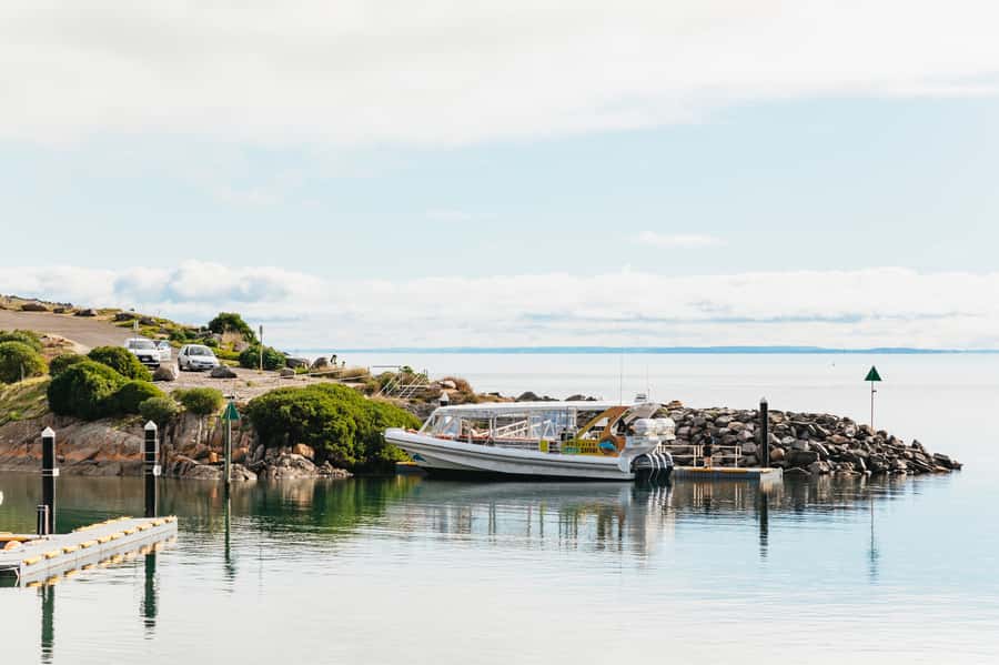 Kangaroo Island: 75-Minute Coastal Safari - Practical Tips Before You Go