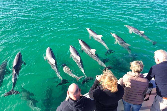 Kangaroo Island 75-Minute Coastal Safari - What the Christmas Cove departure is like