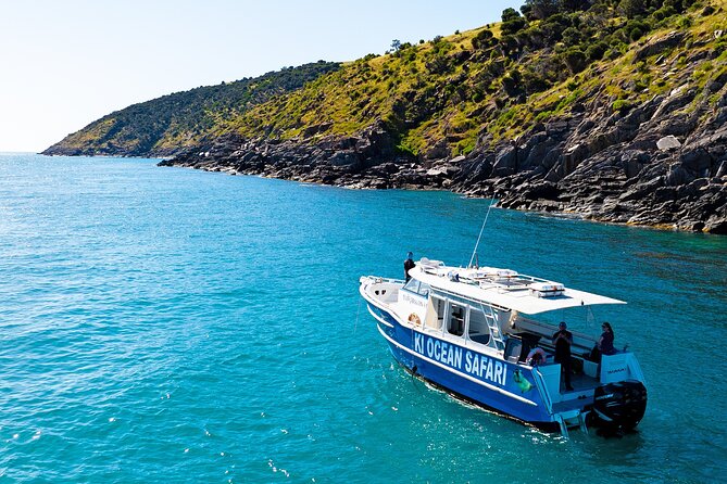 Kangaroo Island 75-Minute Coastal Safari - The rocky coast and long-nosed seals