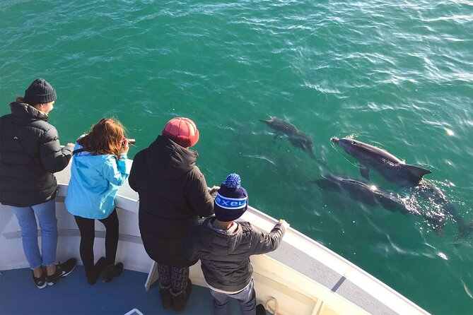 Kangaroo Island 75-Minute Coastal Safari - Eagles, water birds, and the coastal view