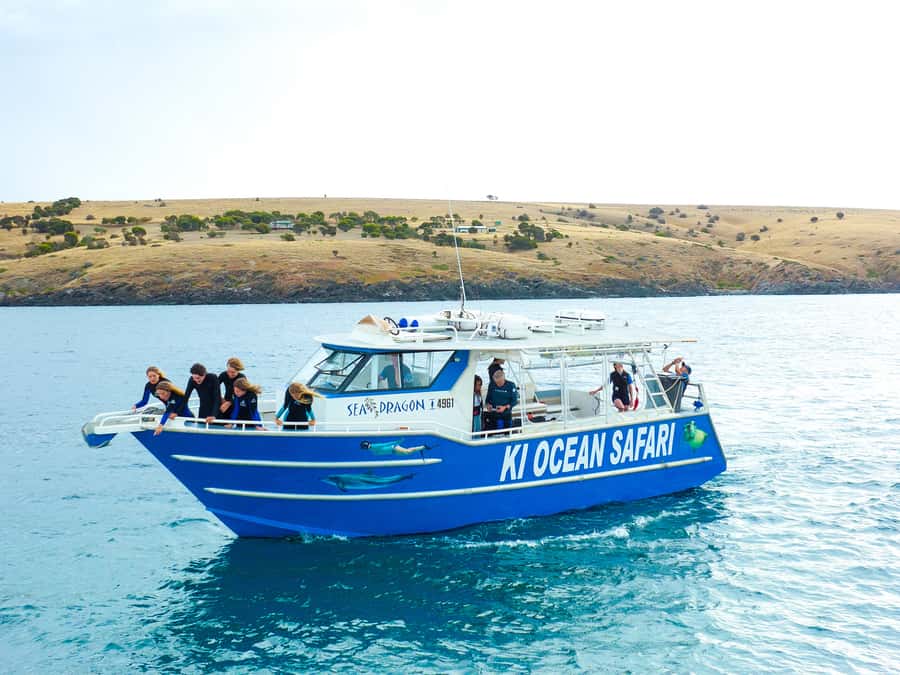 Kangaroo Island: Dolphin, Seal, and Swimming Boat Tour - Key points to know before booking