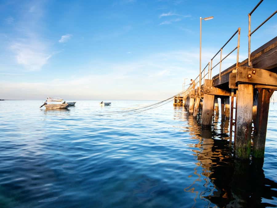 Kangaroo Island: Half-Day Tour Guided Coach Tour - Kingscote: one useful hour in the island’s main town