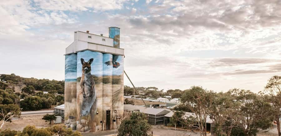 Kangaroo Island: Half-Day Tour Guided Coach Tour - Who gets good value from the $123 price?