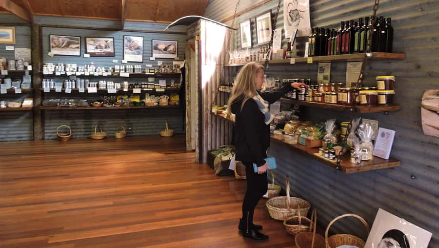 Kangaroo Island: Half-Day Tour Guided Coach Tour - Emu Ridge: eucalyptus oil and island-made goods
