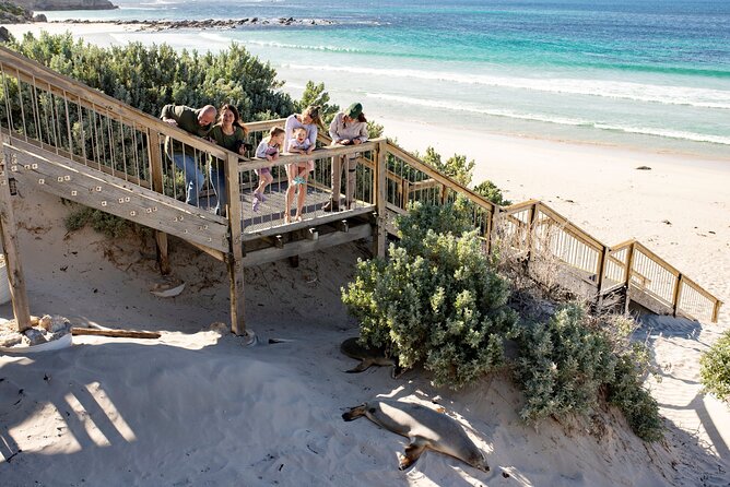 Kangaroo Island in a Day Tour from Adelaide - Why this day trip works for first-time visitors