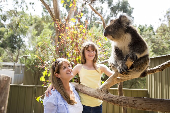 Kangaroo Island in a Day Tour from Adelaide - Kangaroo Island Wildlife Park and hands-on encounters