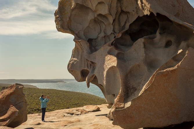 Kangaroo Island in a Day Tour from Adelaide - The 45-minute ferry to Penneshaw