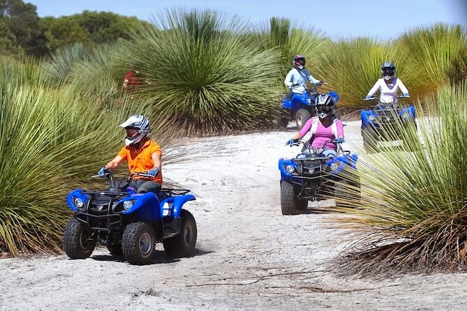 Kangaroo Island Quad Bike (ATV) Tours - From smooth tracks to rocks, sand, and mud