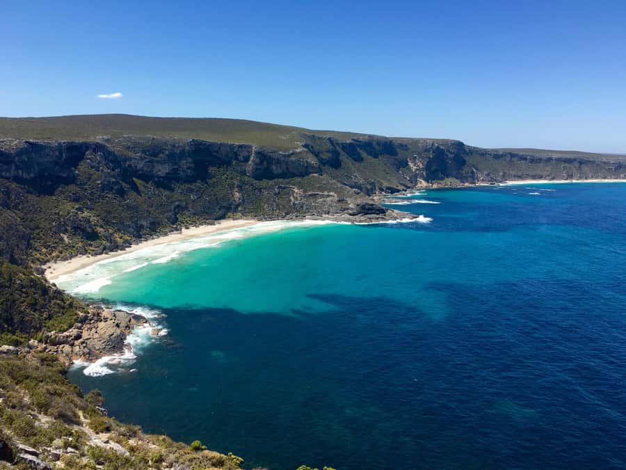 Kangaroo Island: Scenic, Nature & Wildlife Tour - Why this tour works well for a first day on Kangaroo Island