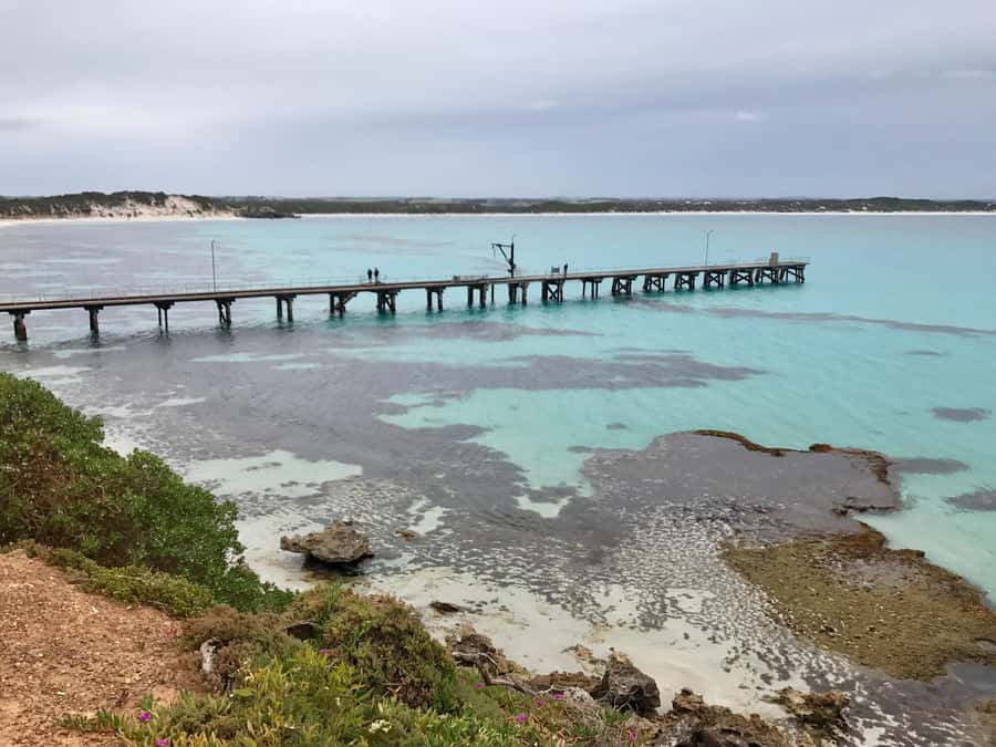 Kangaroo Island: Scenic, Nature & Wildlife Tour - Seal Bay and the sea lion colony