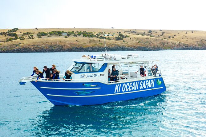 Kangaroo Island - Swim with Dolphins/Seals/Coastal Snorkel - Key Points Before You Book