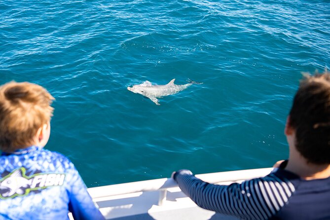 Kangaroo Island - Swim with Dolphins/Seals/Coastal Snorkel - Swimming With Long-Nosed Seals