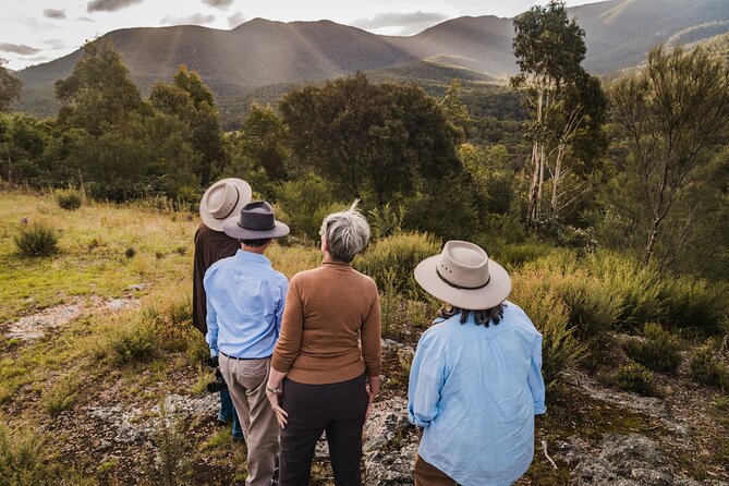 Kangaroos and Koala Experience Tour - Who should book this experience