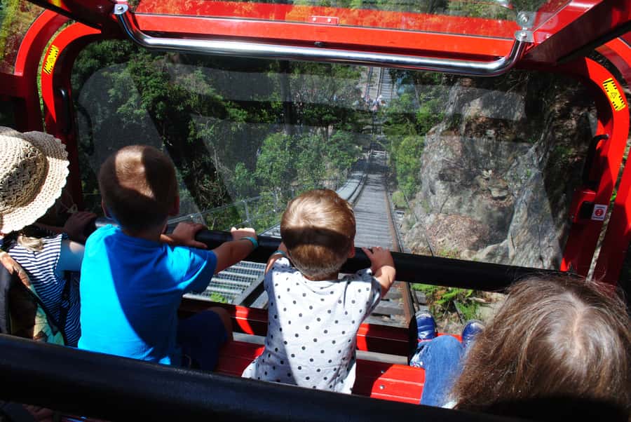 Katoomba: Lyrebird Hop-On Hop-Off and Scenic World Pass - Who should book this pass?